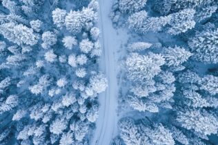 Aerial photo of snow-covered trees