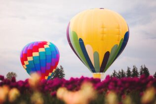 Two hot air balloons in a field