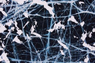 Frozen spiderwebs