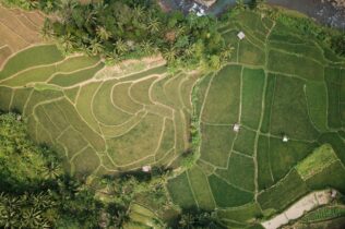 Aerial photo of land at daytime