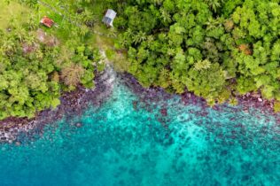 Aerial view of a seashore